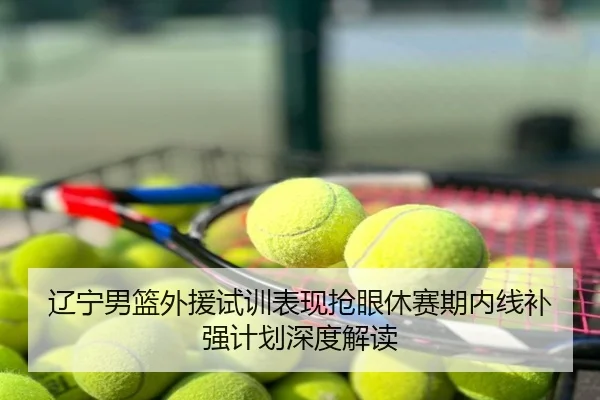 辽宁男篮外援试训表现抢眼休赛期内线补强计划深度解读